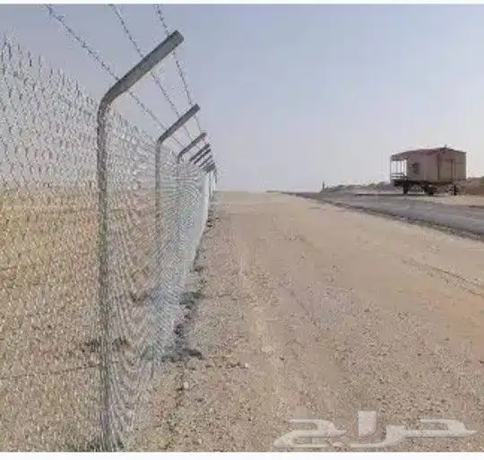 أشجار زيتون ونخيل وتركيب الشبوك 8
