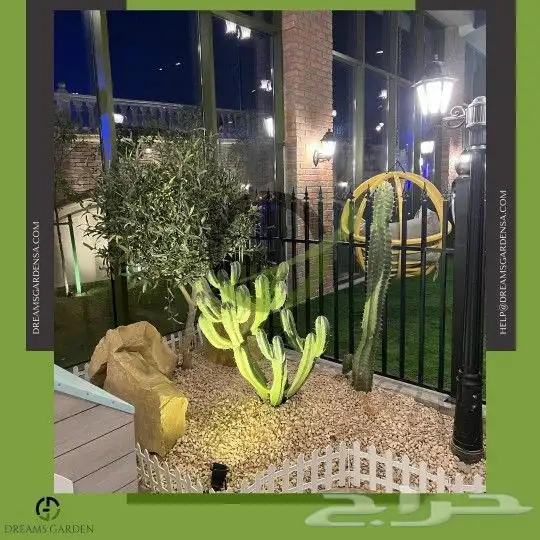 اشجار زيتون صناعي بجذوع طبيعي 7