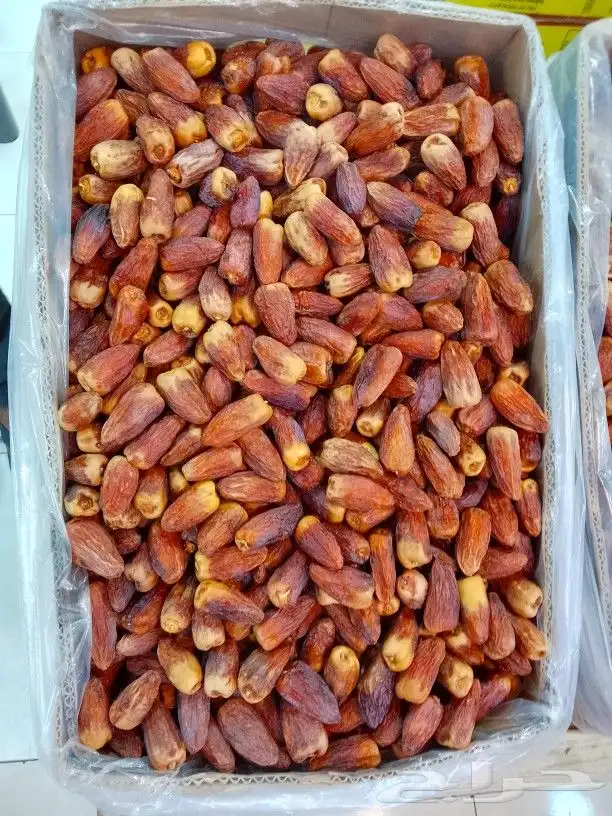 تمور حائل الفاخره 9
