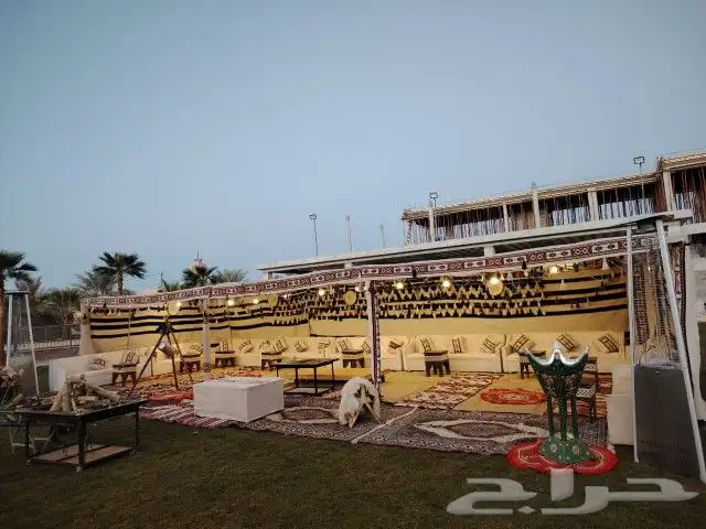 منظم حفلات 6