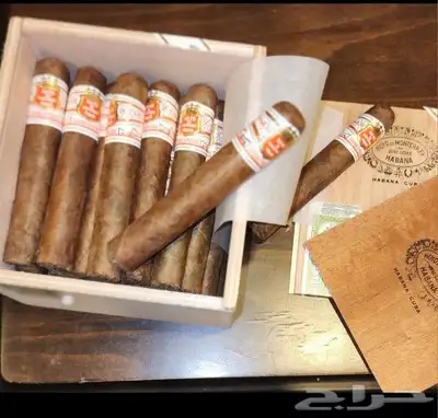 سيجار Cigar Hoyo de monterrey Grand Epicure 0