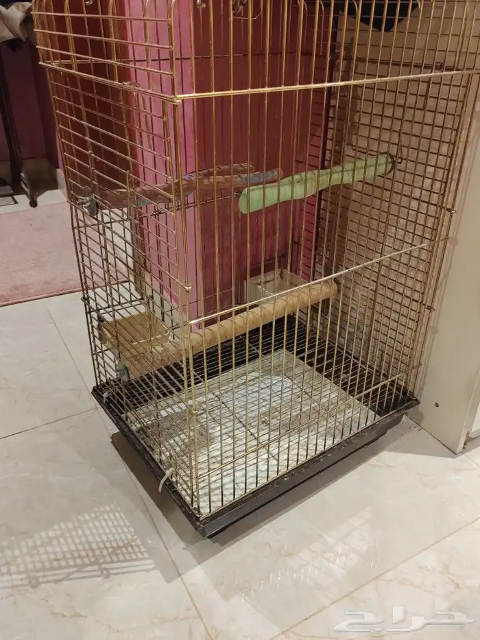 قفص بغبغان كبير 0
