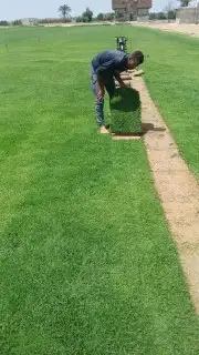 ثيل سي 2000 صافي وطبيعي درجة اوله يوجد تركيب وتوريد داخل الر 2