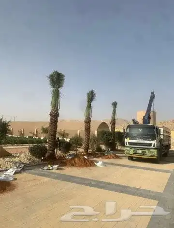 نقوم بجميع اشغال النخيل قلع غرس توردي تكريب جرد تحويص تشويك 8