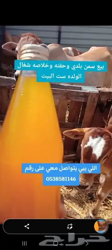 بيع سمن بلدي وحقنه وخلاصه 0