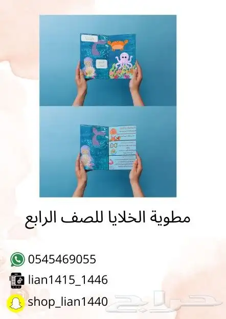 مطويات مدرسية pdf 12