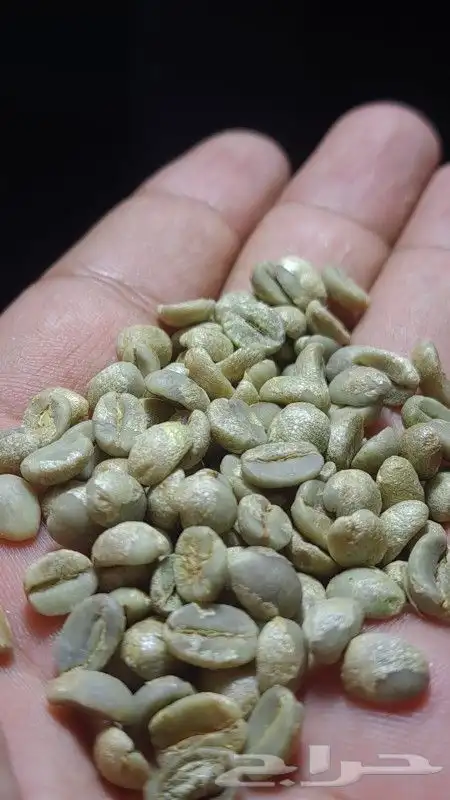 ذره صفرا وشعير 2