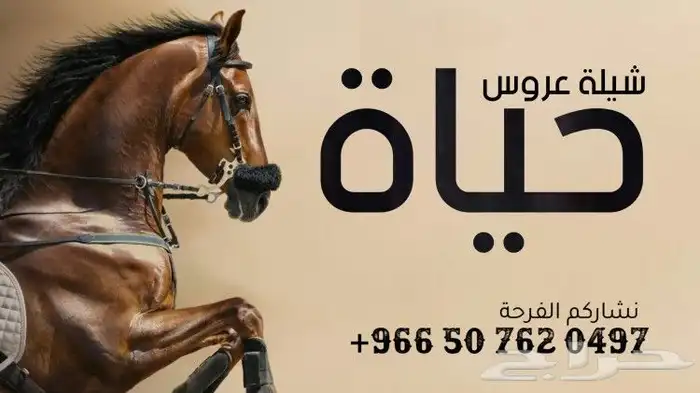 شيلة زواج شيلة تخرج شيلة عروس شيلة عرس شيلات حفل زواج شيلات 3