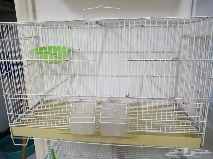 قغص كناري للاانناج 0