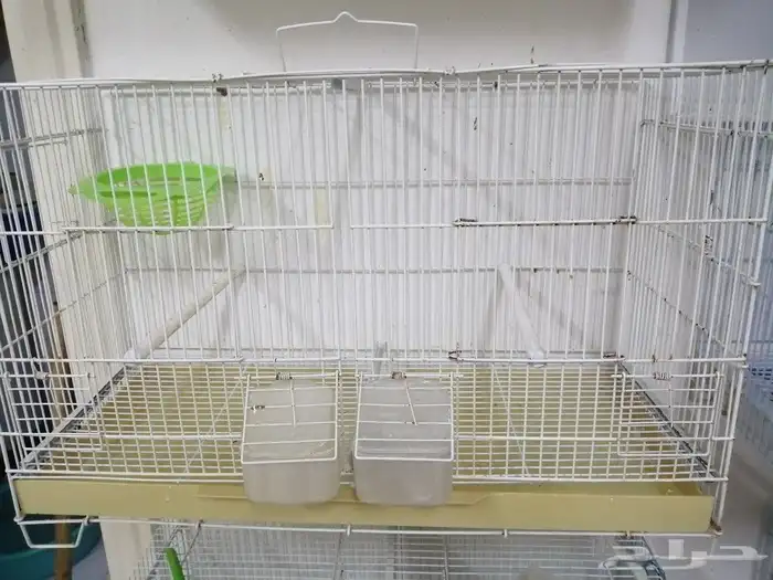 قغص كناري للاانناج 2