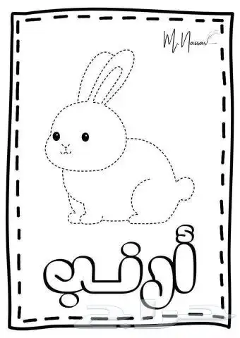 معلم تأسيس مراحل أولية لغتي.رياضيات 0