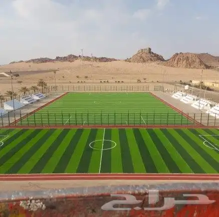 تنسيق حدائق وتصميم ملاعب 2