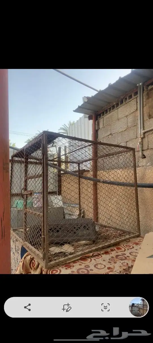 شبك للبيع 0