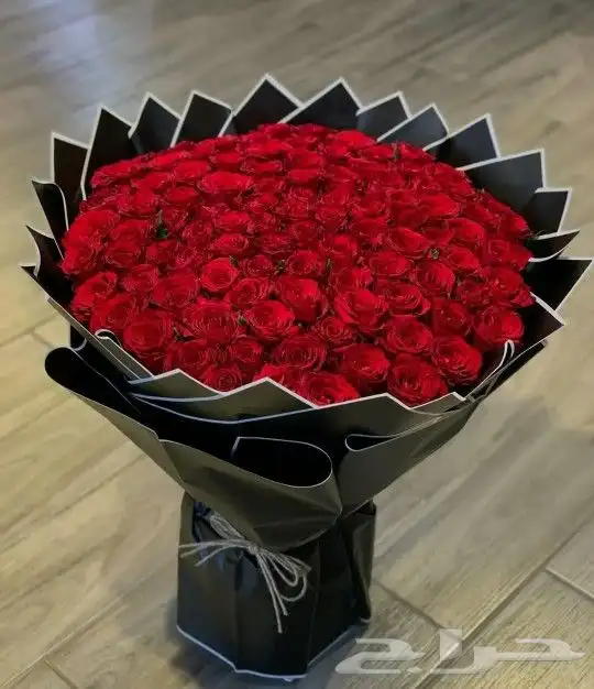 ورد احمر 9