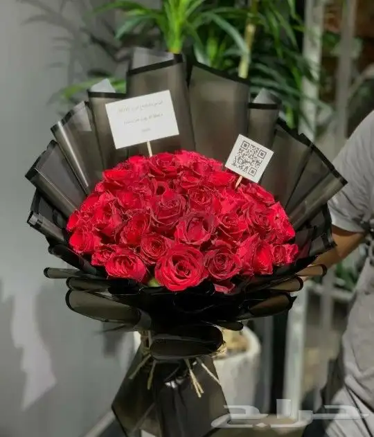 ورد احمر 6