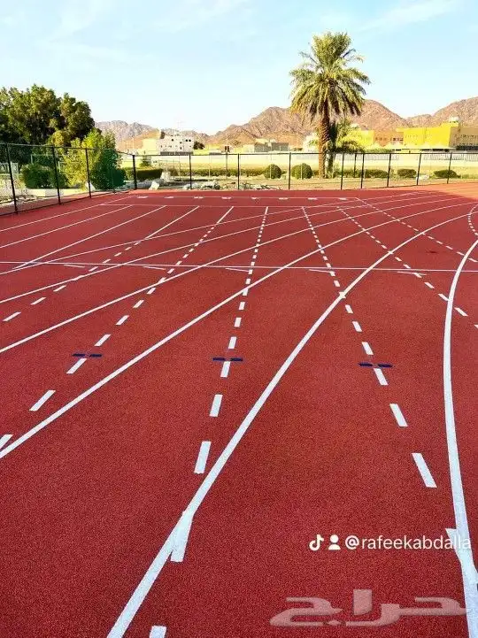 تنسيق حدائق وتصميم ملاعب 1