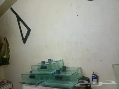 مصبات شلالات 0