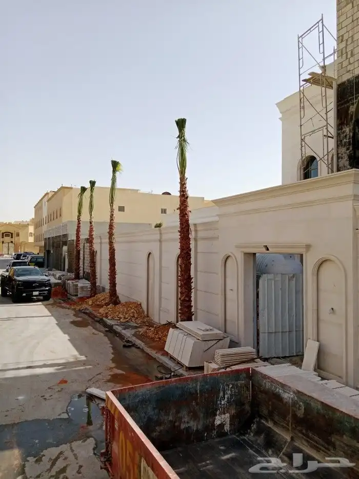 اشجار ونخيل 5