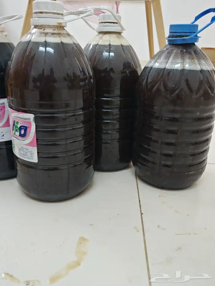 للبيع عسل صافي شوكة ومراعي 0