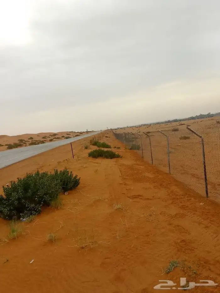مقاول شبوك ونخيل 1