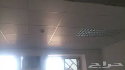 مقاول سقف مستعار 60   60 جبس بورد سمنت بورد دهانات 5