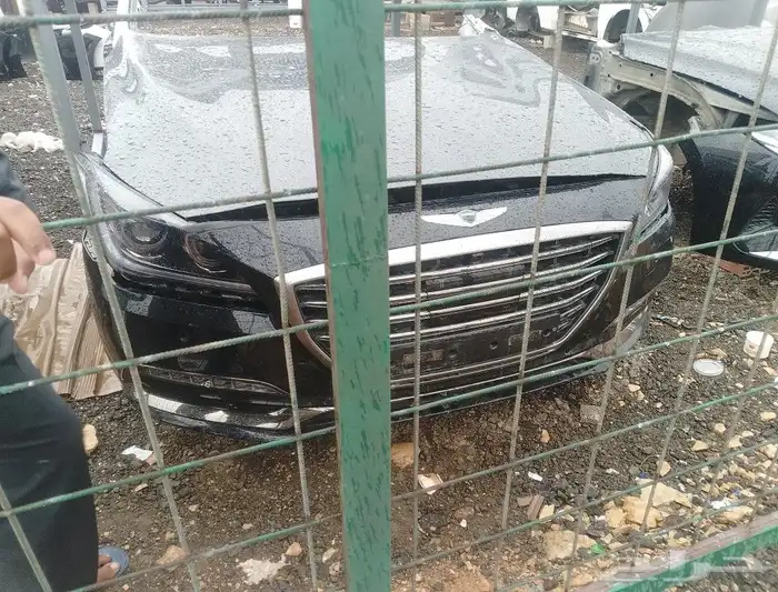 جنسس 2019 3
