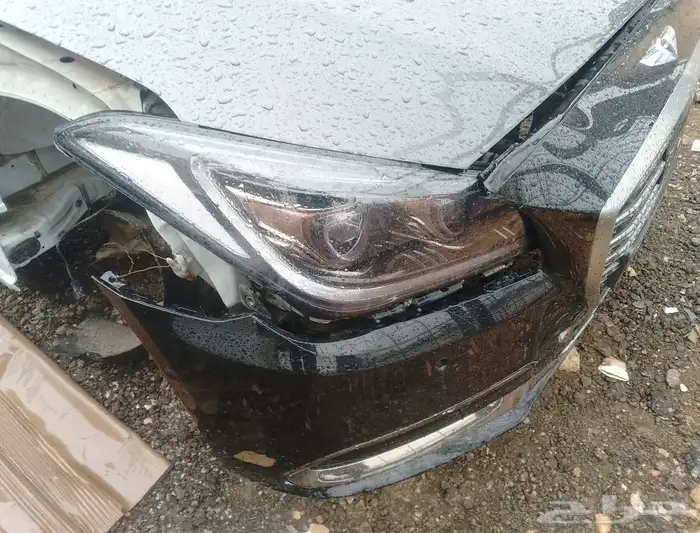 جنسس 2019 1