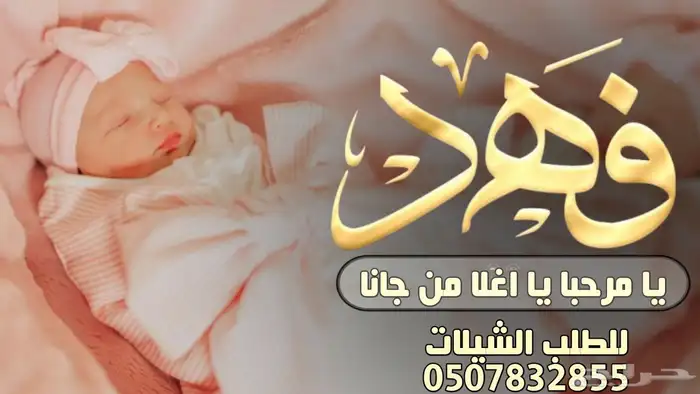 استديو شيلات 0