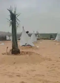 سلام عليكم ورحمه الله يوجد لدينا فراخه طيبه ومضمونه 3