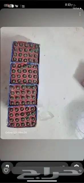 طراطيع العاب ناريه اسعار جمله قطاعي 4