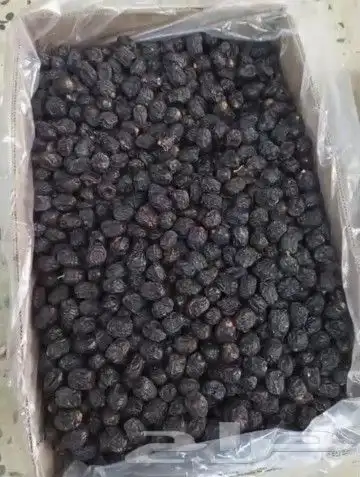 عجوة حبة طيبة ولين ب 10 ريال 3