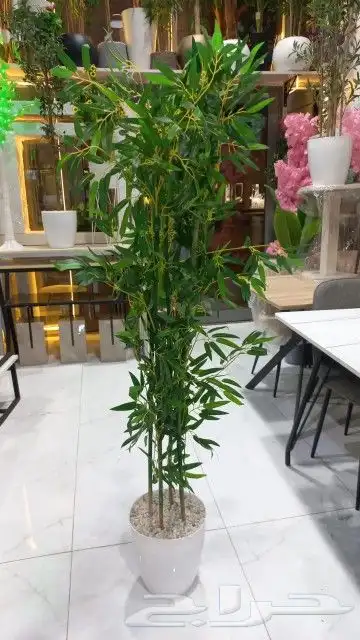 أشجار صناعية _أشجار زينة 2