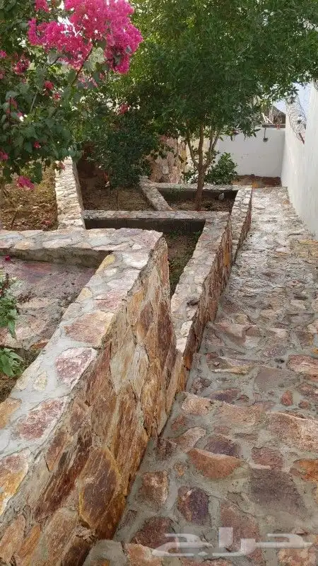 تلبيس حجر بناء حجر طبيعي ربراب تليوس بناء جدار معدات ترميم 5