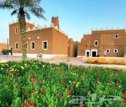 نقوم بتنفيذ عمل البيوت اتراث ومجالس اتراث وترميم البيوت الشع 4