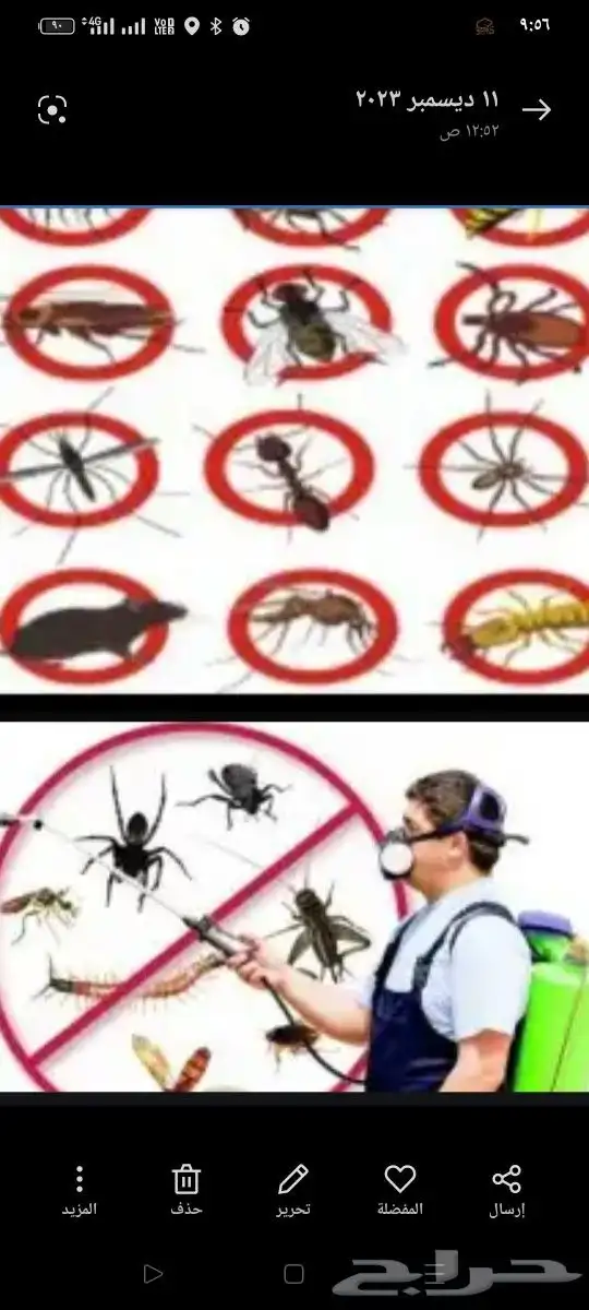 شركة مكافحة حشرات بجدة 0