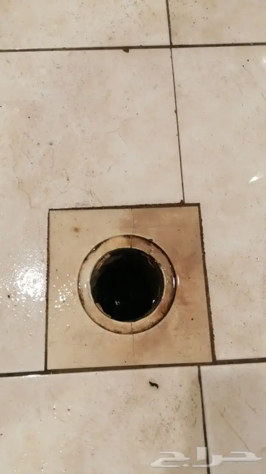 تسليك مجاري تسليك بلاعات رش مبيد حشرات 5