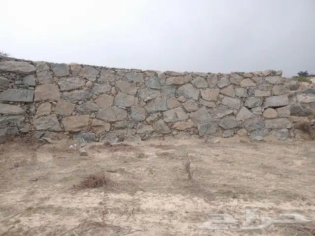 تلبيس حجر وباقل السعار 4