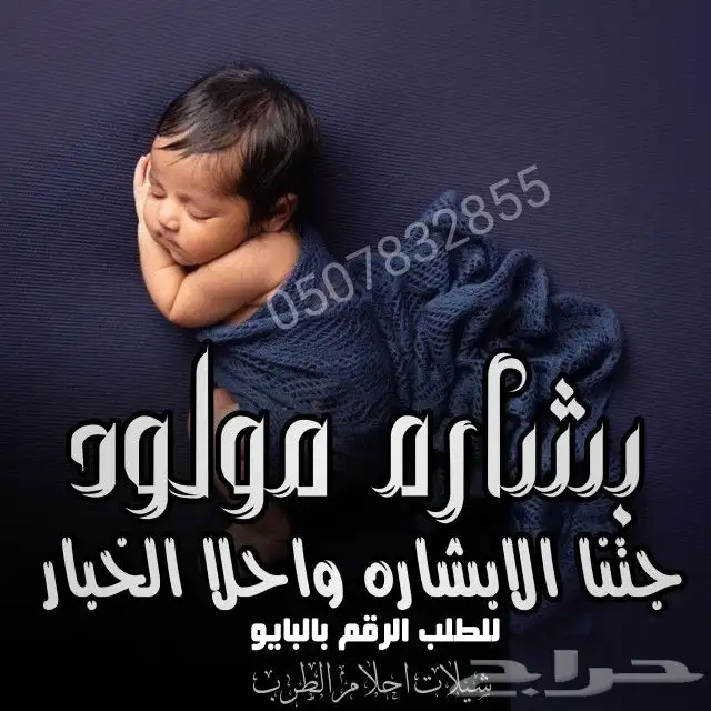 استديو شيلات 16