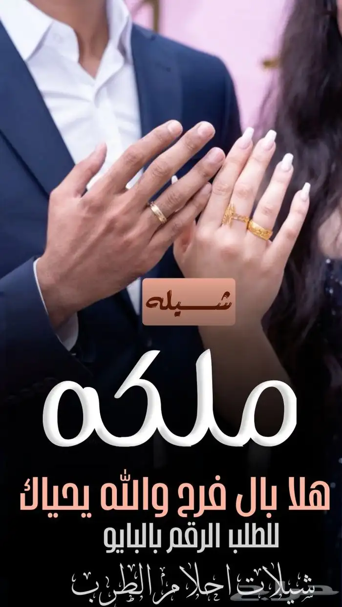 استديو شيلات 13