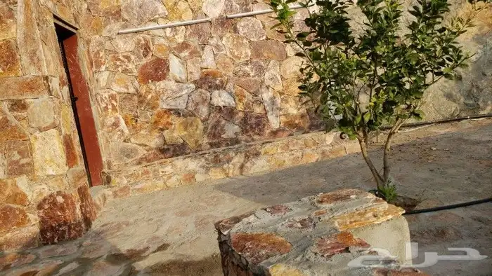 تلبيس حجر بناء حجر طبيعي ربراب تليوس بناء جدار معدات ترميم 2