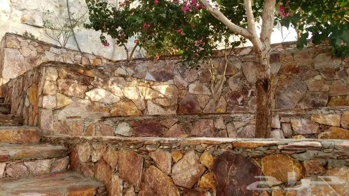 تلبيس حجر بناء حجر طبيعي ربراب تليوس بناء جدار معدات ترميم 12