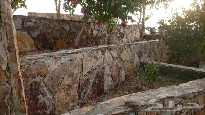 تلبيس حجر بناء حجر طبيعي ربراب تليوس بناء جدار معدات ترميم 3