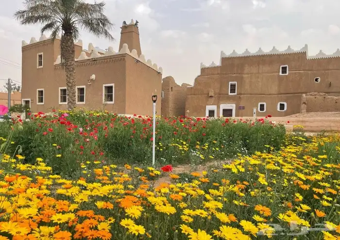 نقوم بتنفيذ عمل البيوت اتراث ومجالس اتراث وترميم البيوت الشع 5