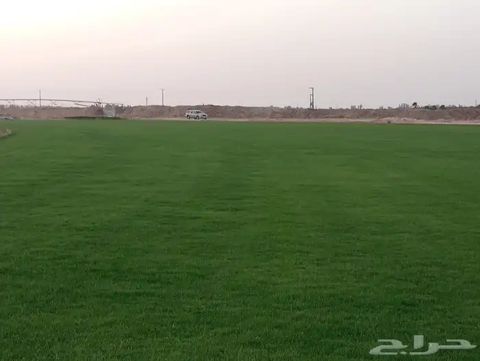 ثيل سئ 2000صافي وطبيعي الموقع الخرج 4