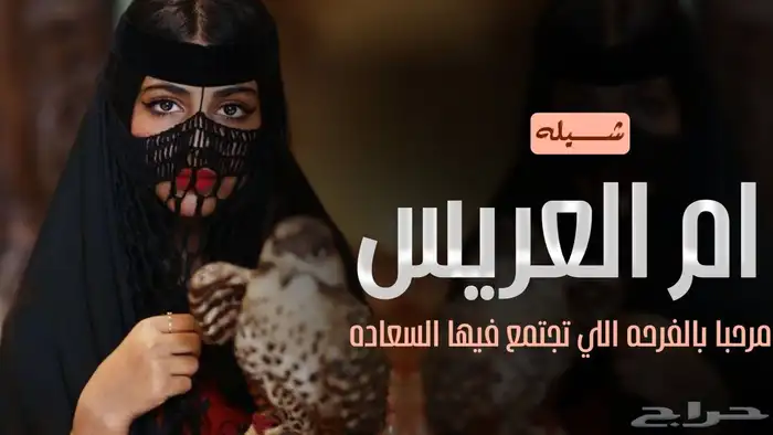 استديو احلام الطرب تنفيذ شيلات حسب الطلب 12