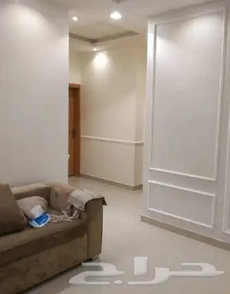 دهان بريده دهان القصيم 4