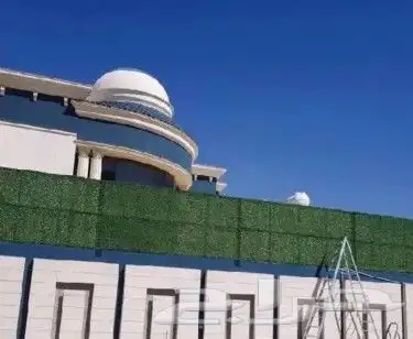 تنفيذ شبوك وزراعه نخيل 1