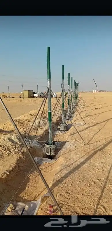 يوجد لديناء عمال متخصصون في النخيل توريد نخل بجميع أنواعه وم 4