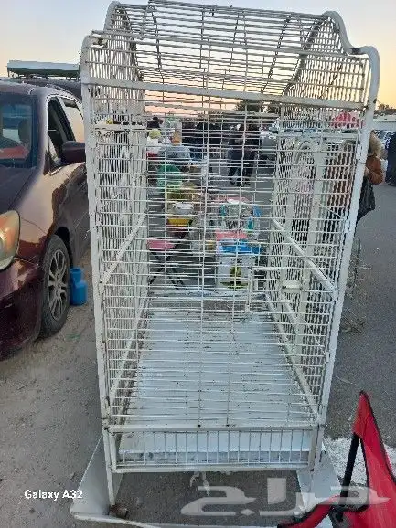 قفص مكاو 2