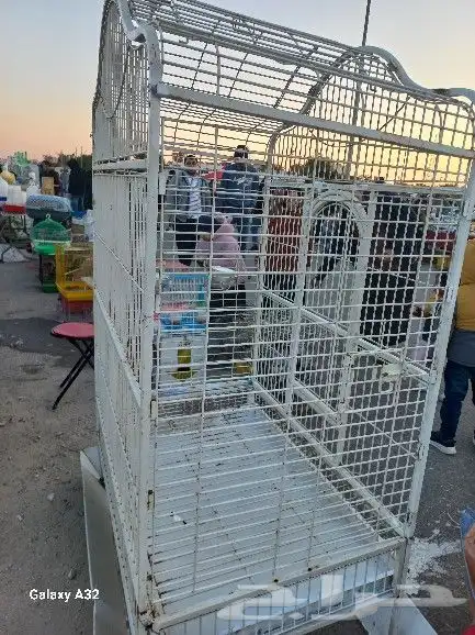 قفص مكاو 0